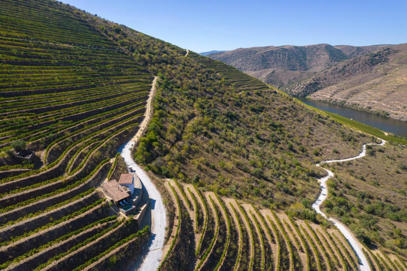 Casa Do Rio - Douro Wine Hotel By Vallado Vila Nova de Foz Côa Eksteriør bilde