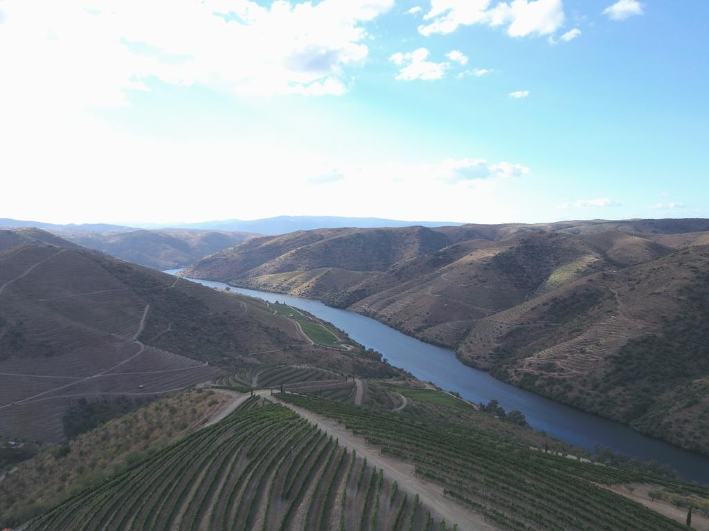 Casa Do Rio - Douro Wine Hotel By Vallado Vila Nova de Foz Côa Eksteriør bilde