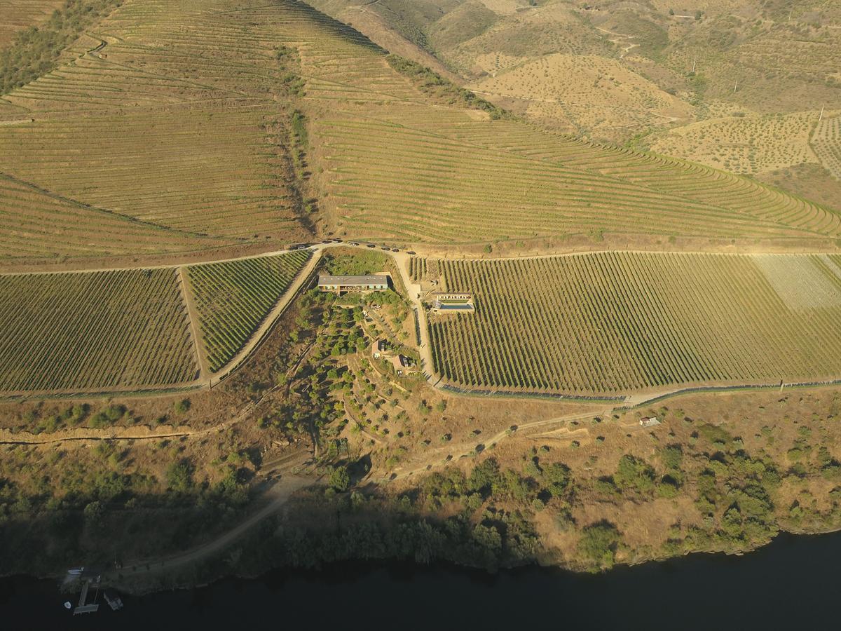 Casa Do Rio - Douro Wine Hotel By Vallado Vila Nova de Foz Côa Eksteriør bilde